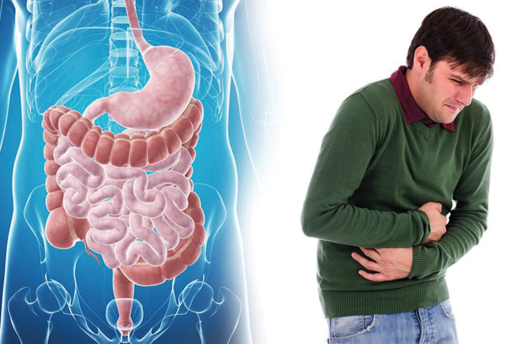JCM-16021: A Novel Multi-Target Chinese Medicine for Durable Management of Irritable Bowel Syndrome