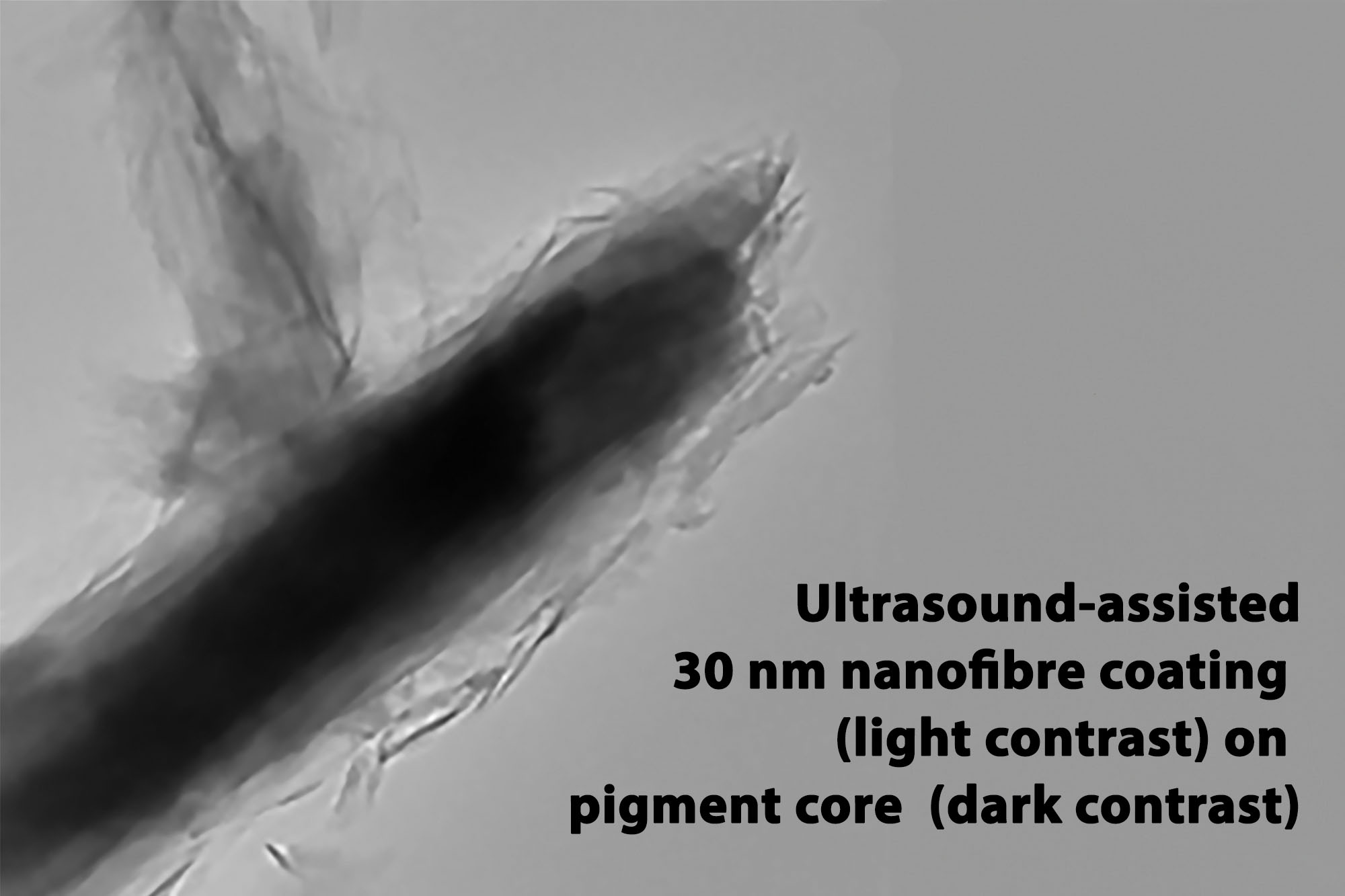 Ultrasound-assisted 30 nm nanofibre coating (light contrast) on pigment core (dark contrast)