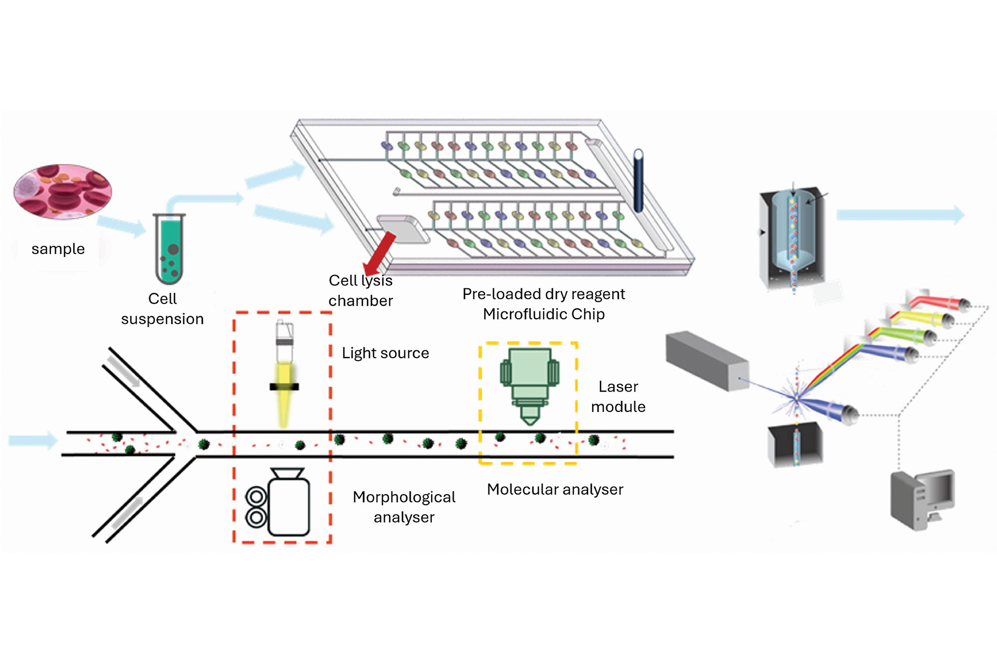 Sequential Measurement Based Multi-Parameter Microfluidic Flow Cytomolecular Analyser