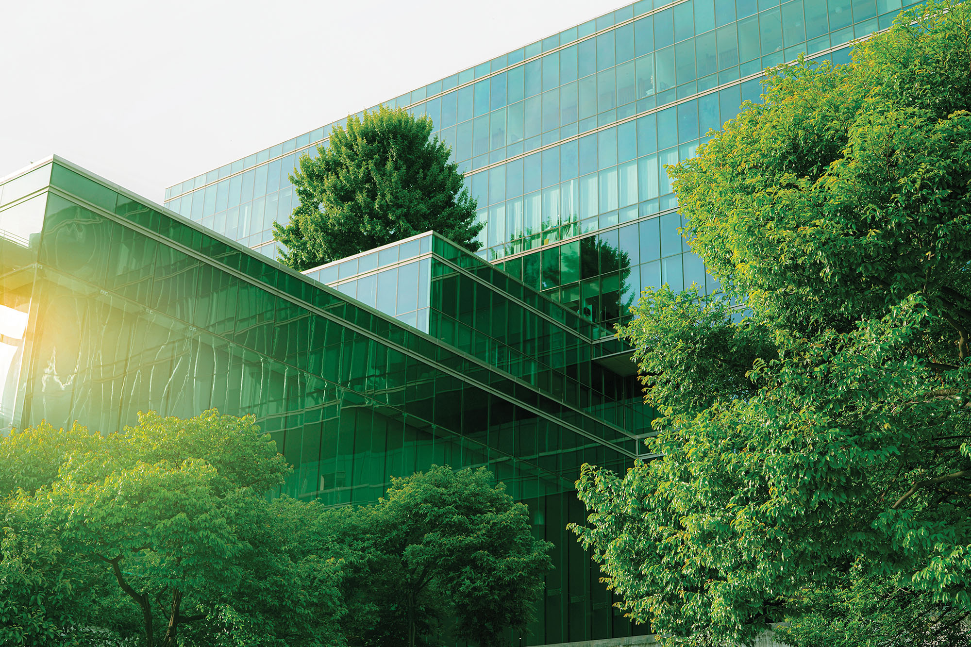 Green Tech